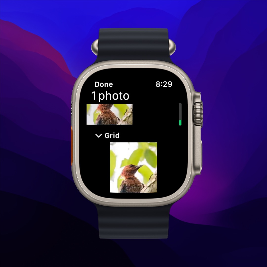 Pigeon for Apple Watch